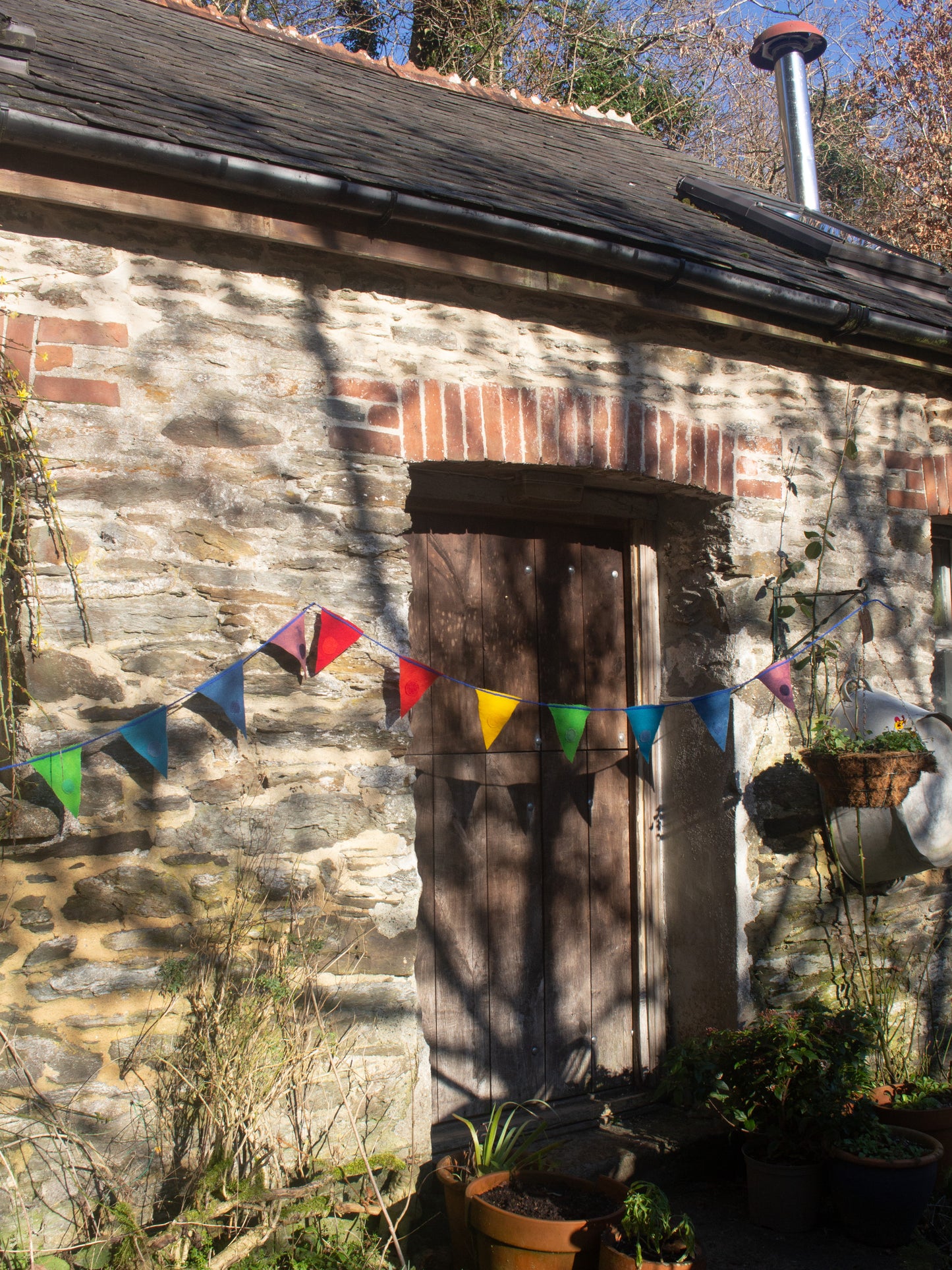 Rainbow Bunting - Long String