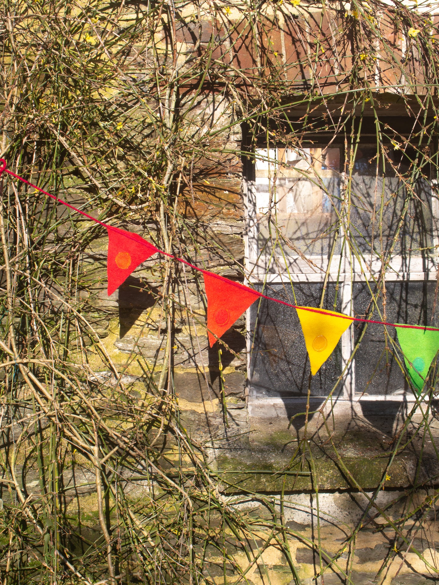 Rainbow Bunting - Long String