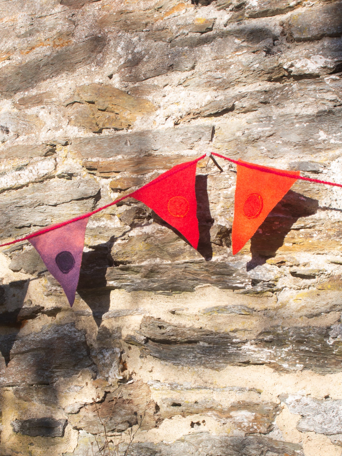 Rainbow Bunting - Long String