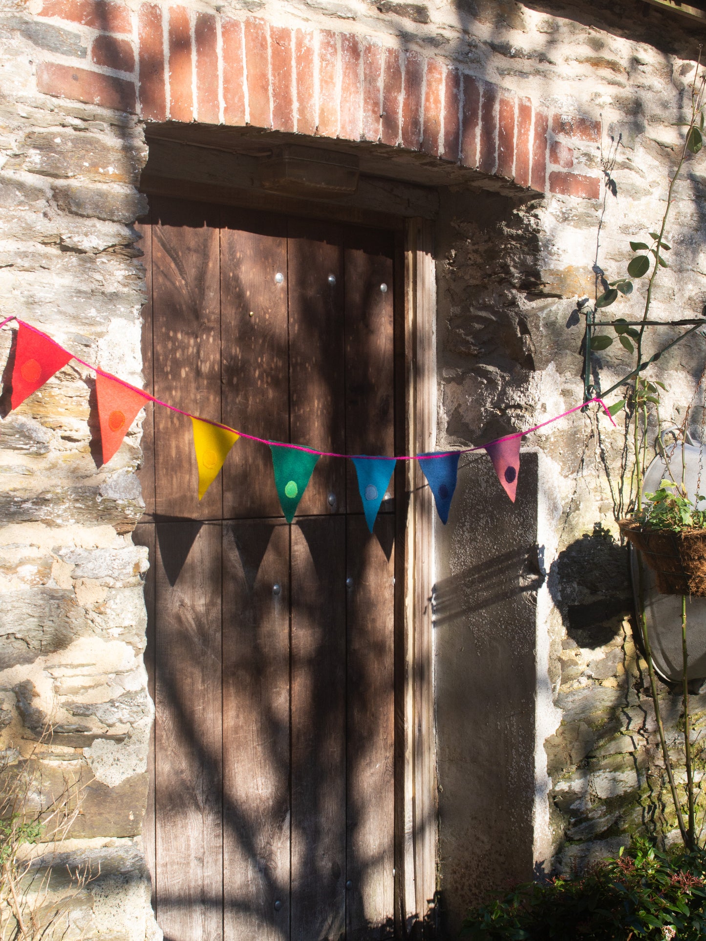 Rainbow Bunting - Long String